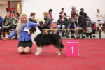 groningen 2015: BENELUX WINNER 2015 